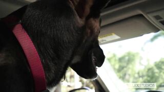 Errand Shota (Evan Parker, Tyler Hill)